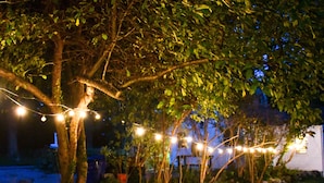 Ein Gartenbereich mit Lichterketten, Bäumen und einem Weg.