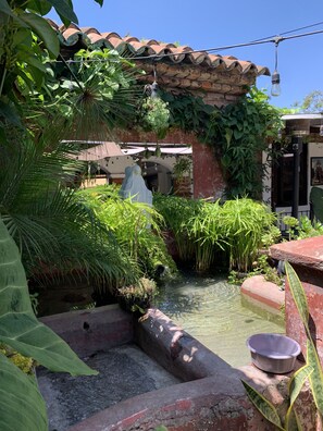 Exterior - Nikikot Hotel and Hostal Food & Drink (Antigua Guatemala)