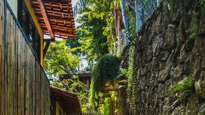 A narrow stone pathway leading to a wooden building with a thatched roof. - Casa Tiffany - Ilhabela (Ilhabela)