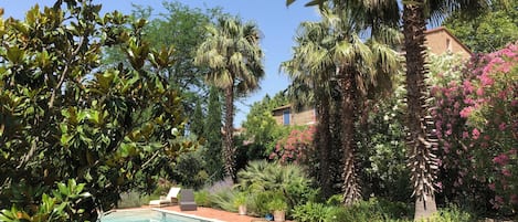 Piscine extérieure