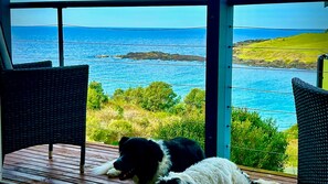 Una habitación con vista al mar, un perro y muebles de mimbre.