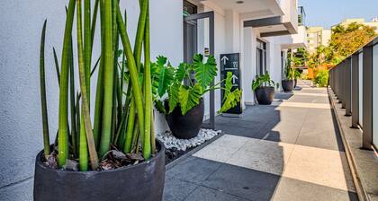 Decorated apartment with a view