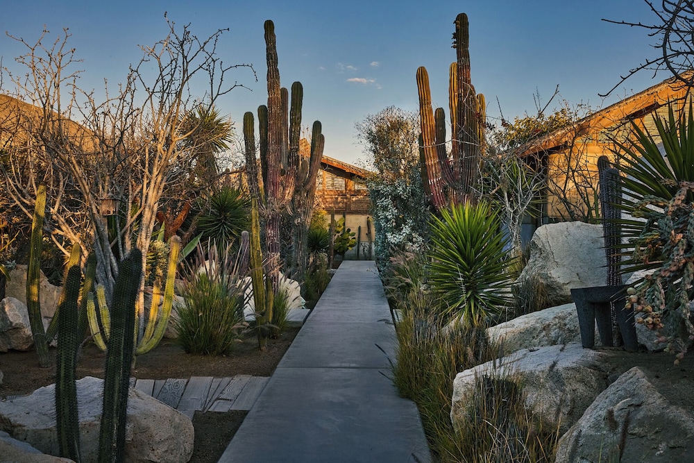 El Perdido Desert Dream by null