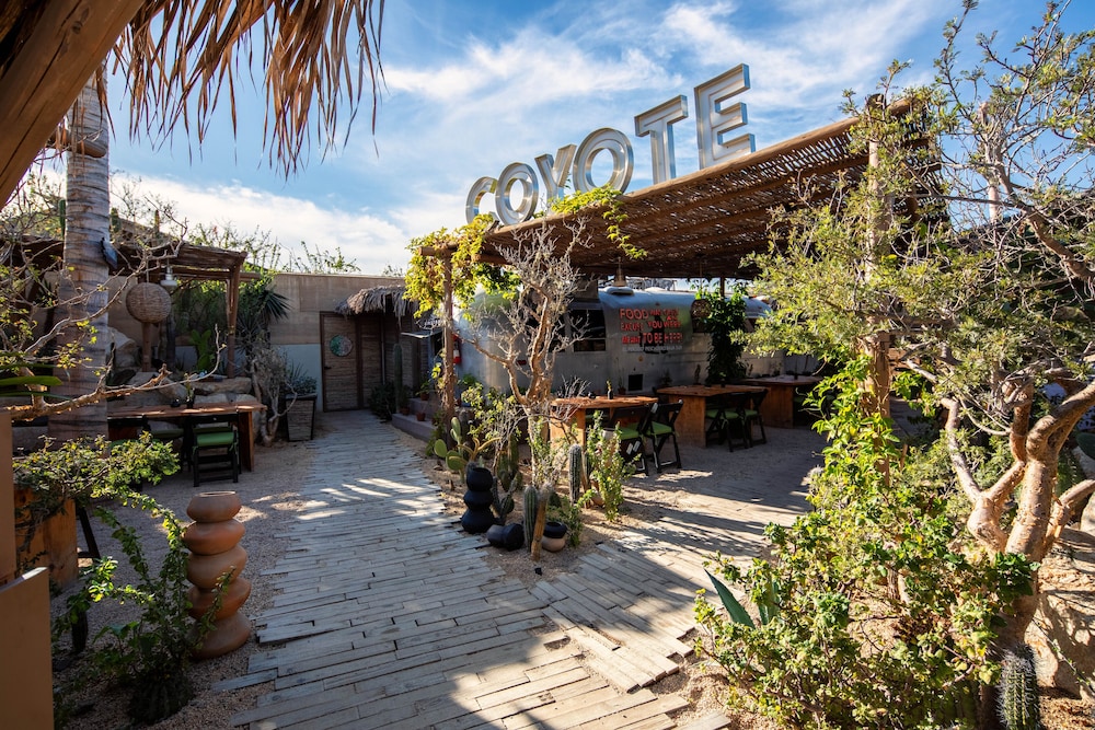 El Perdido Desert Dream by null