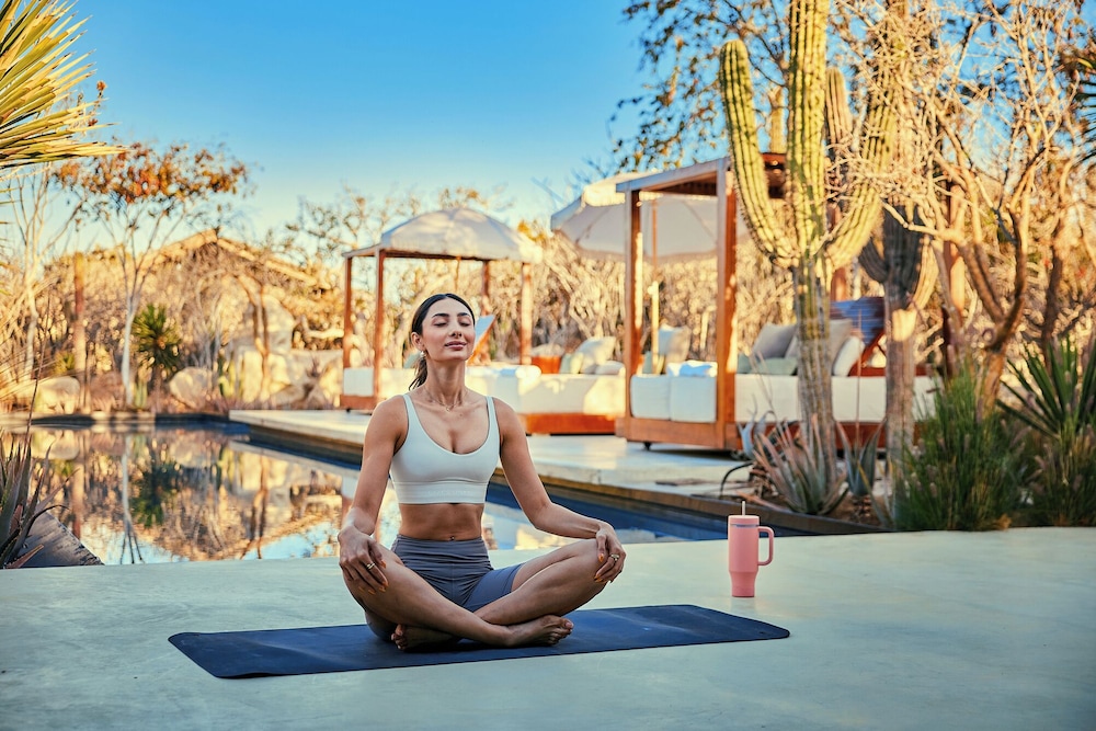 El Perdido Desert Dream by null