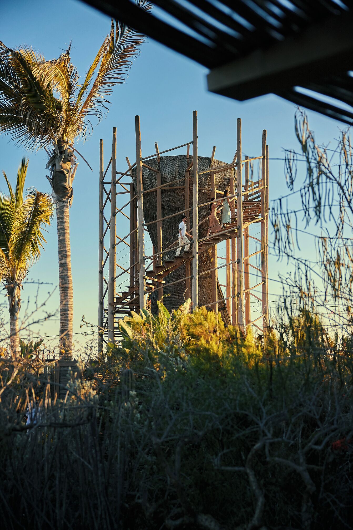 Estructura de madera con techo de malla, rodeada de palmeras y cactus.