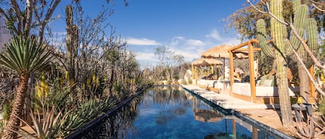 Outdoor pool, sun loungers