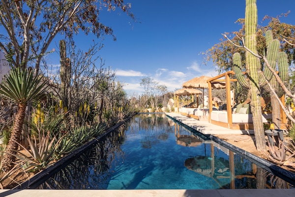 Outdoor pool, sun loungers