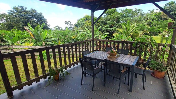 A covered outdoor area with a wooden table and chairs, surrounded by potted plants and a view of lush greenery. - Le Ptit Gibs (Petit bourg)