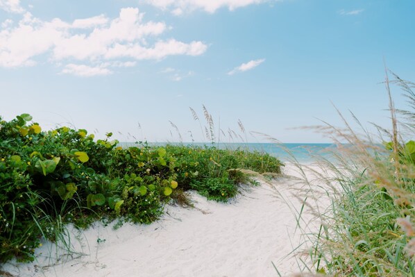 ビーチ、サンラウンジャー、ビーチタオル