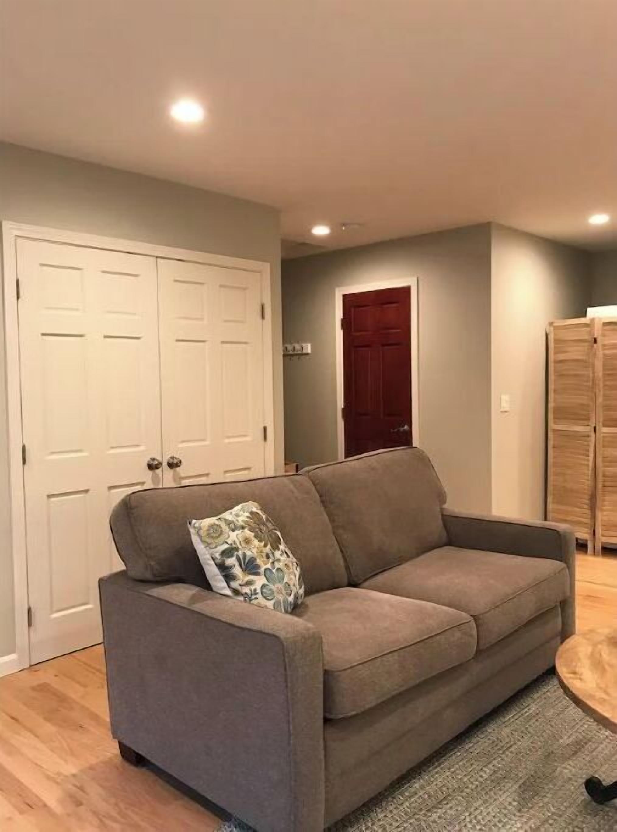 Un salon avec un canapé gris, un coussin décoratif à motifs, un plancher en bois et une porte rouge en arrière-plan.