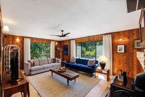 TV, caminetto, libri