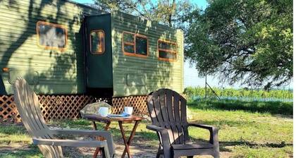 Grapeseed: Your Peaceful Vineyard Retreat