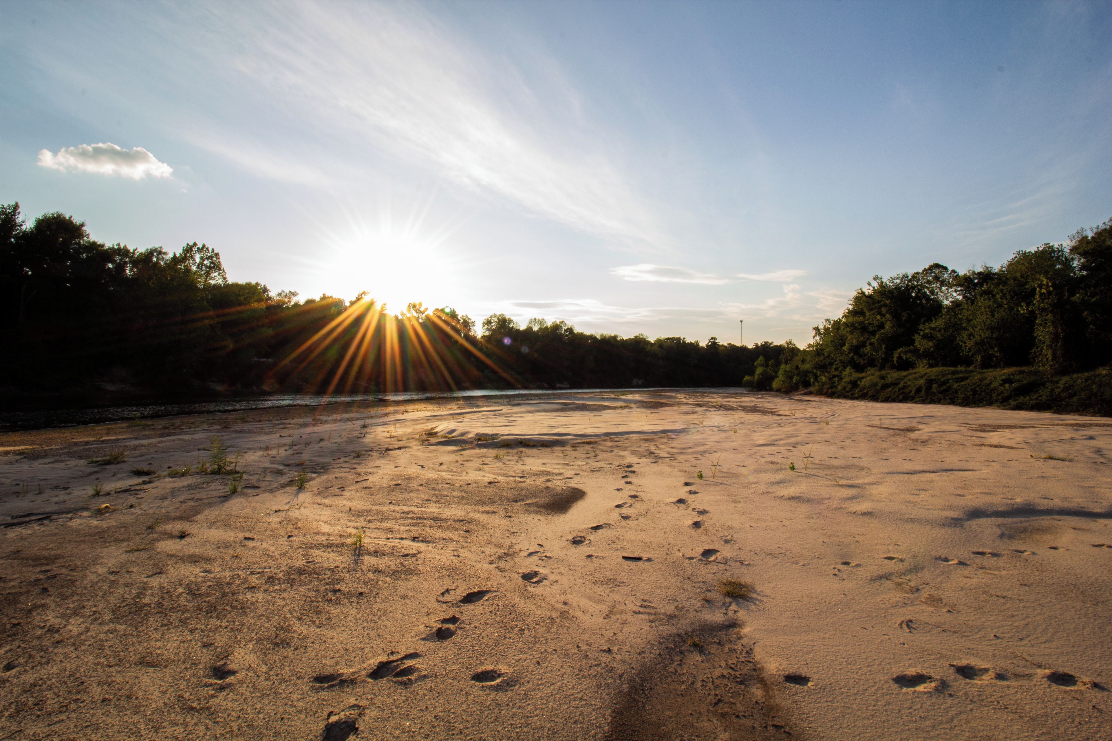 A beach with footprints in the sand and trees in the background.