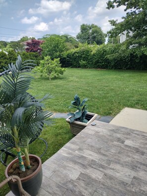 Área da propriedade