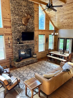 Smart TV, chimenea, reproductor de DVD y libros 