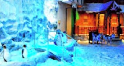 Lush 3-Bedroom/4-Bathroom Villa with Private Pool