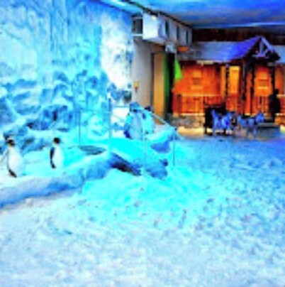 Lush 3-Bedroom/3-Bathroom Villa with Private Pool