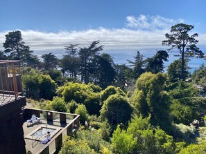 Property grounds - 2 Nights $325 a night overlooking the Pacific Ocean (Carmel-by-the-Sea)