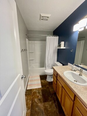 Combined shower/tub, hair dryer, towels, soap - Private Home on Hatcher Pass (Willow)