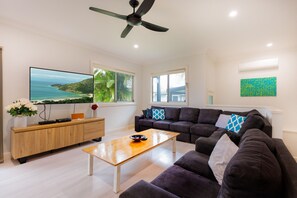 تلفزيون، مشغل دي في دي