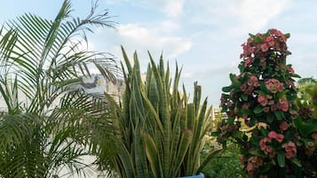 Superior Double Room | Terrace/patio