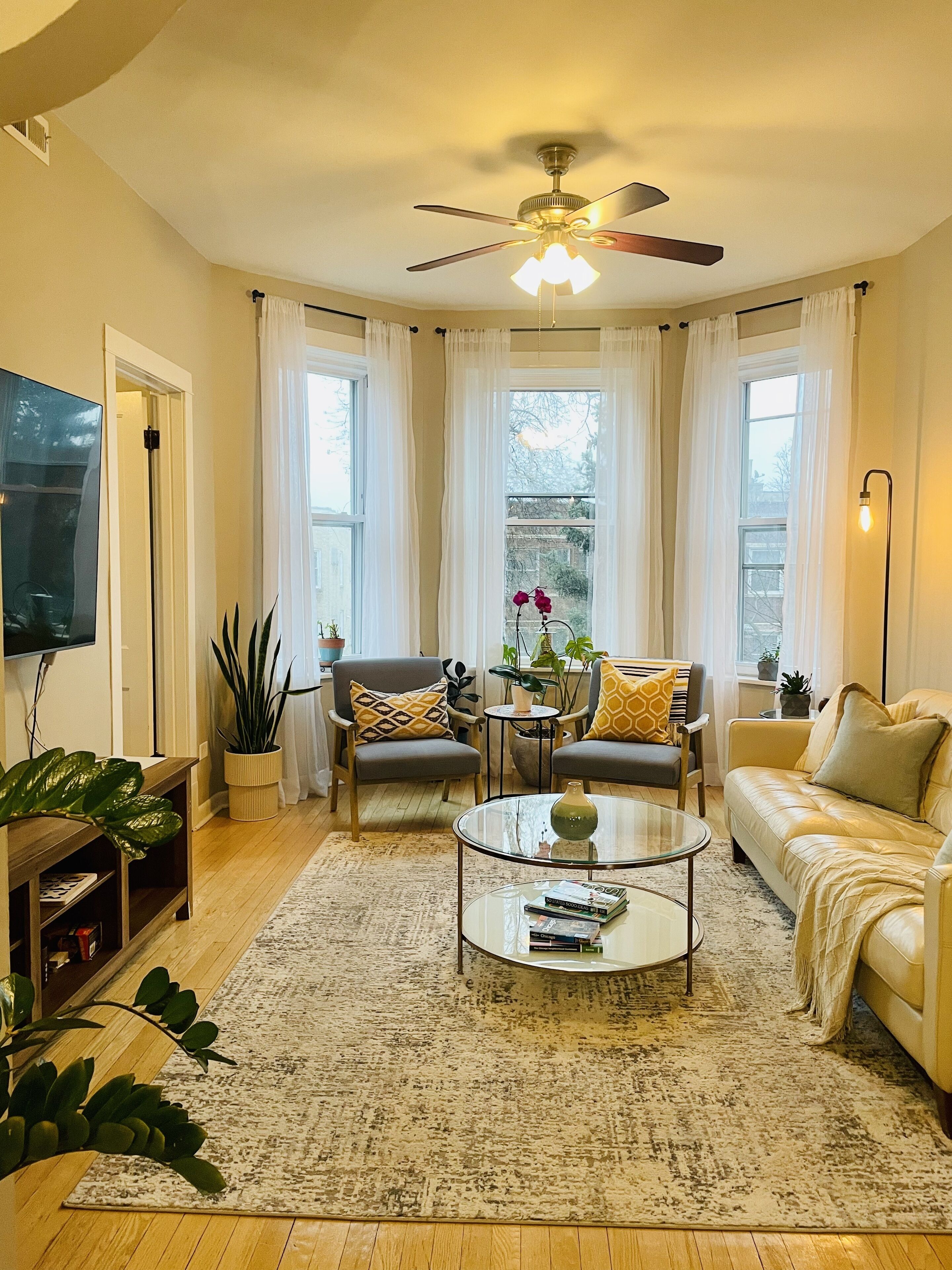 Smart TV, books, stereo, printers