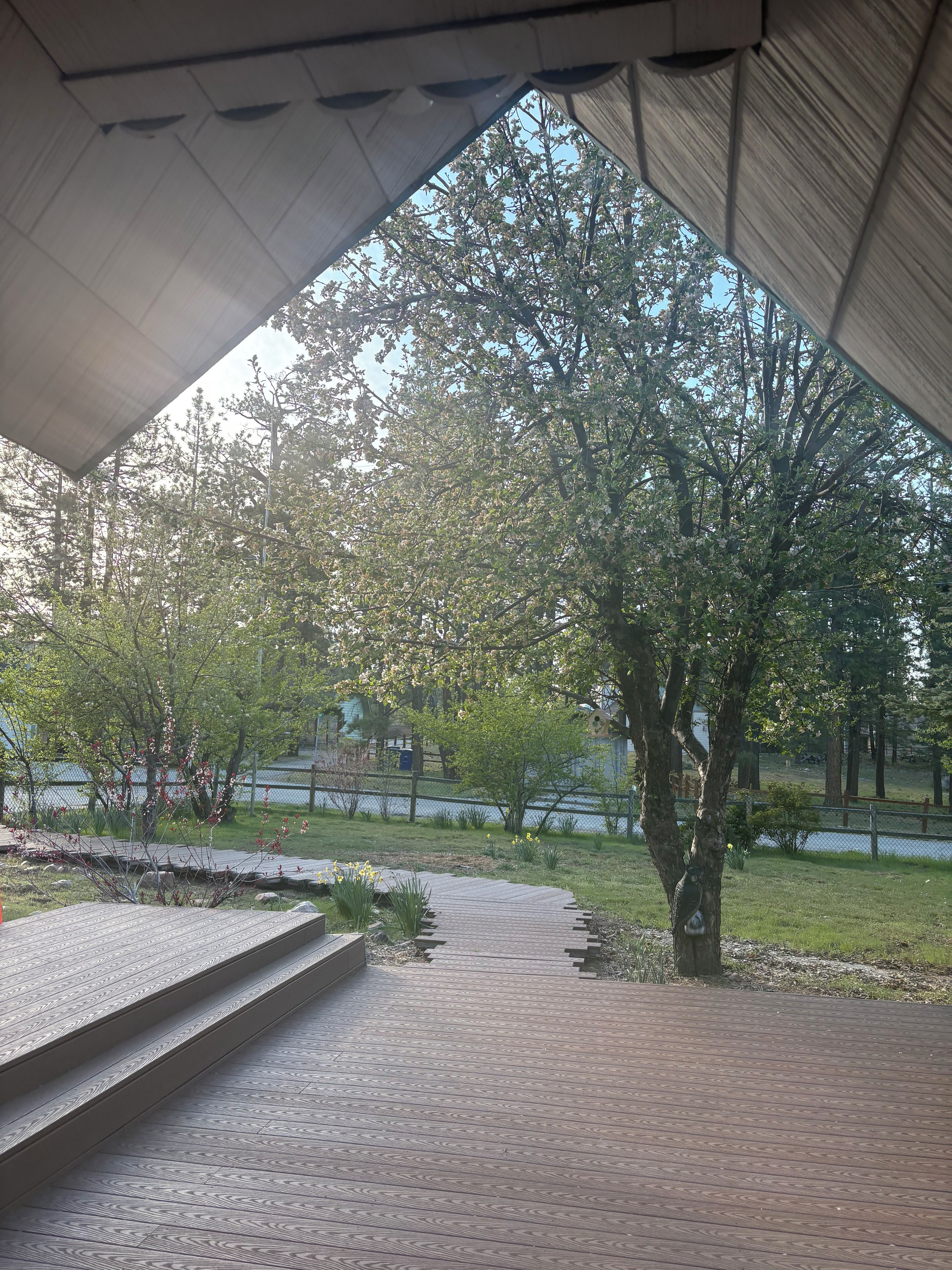 A covered outdoor area with a wooden pathway leading to a seating area, surrounded by trees and a view of a body of water.