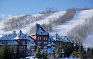 Exterior - Rare chalet w/pool access and. a min from The Blue Mountains (The blue mountain)