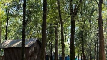 Enceinte de lâhĂ©bergement