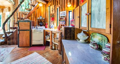 Dog-friendly, solar-powered cabin on 5 acres with woodstove, firepit & deck