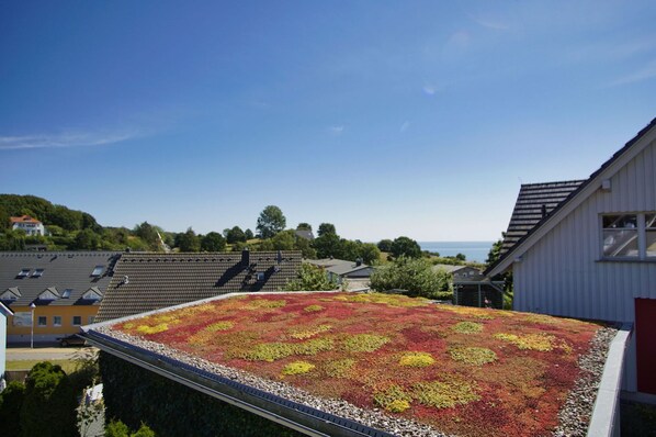 A rooftop garden with a variety of plants, a clear sky, and residential buildings in the background.