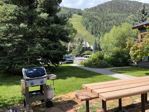 Outdoor dining - Telluride Paradise 7th Nt FREE Special - Walk to all of Telluride (Telluride)