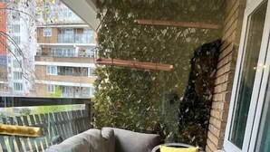A balcony with a cushioned seating area, a small table, and a potted plant. - West End 1-Bed Apt, Sleeps 2 with Wi-Fi (London)