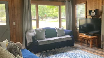 TV connectée, cheminée, livres