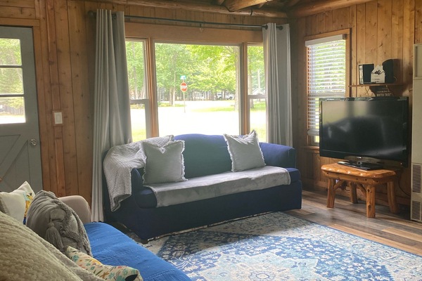 Smart TV, fireplace, books