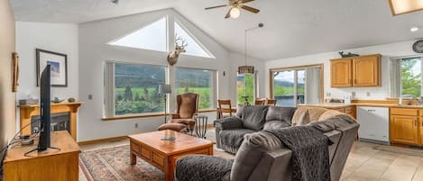 Télévision, cheminée, lecteur de DVD, livres