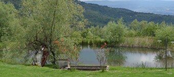 Amazing stay in Tuscany rustic style