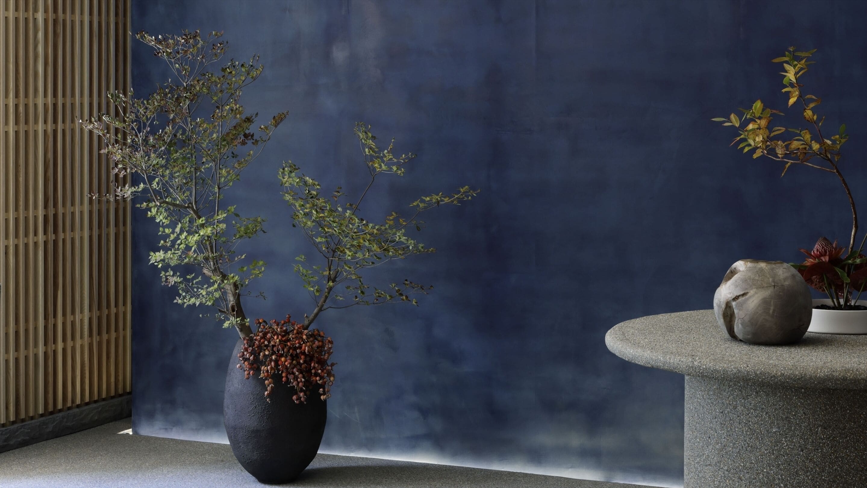 A room with a large dark blue wall, a wooden slat wall, and a stone bench with a potted plant.