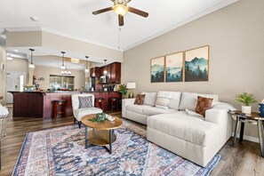 Smart TV, fireplace, books