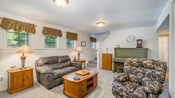 Televisión, chimenea y libros