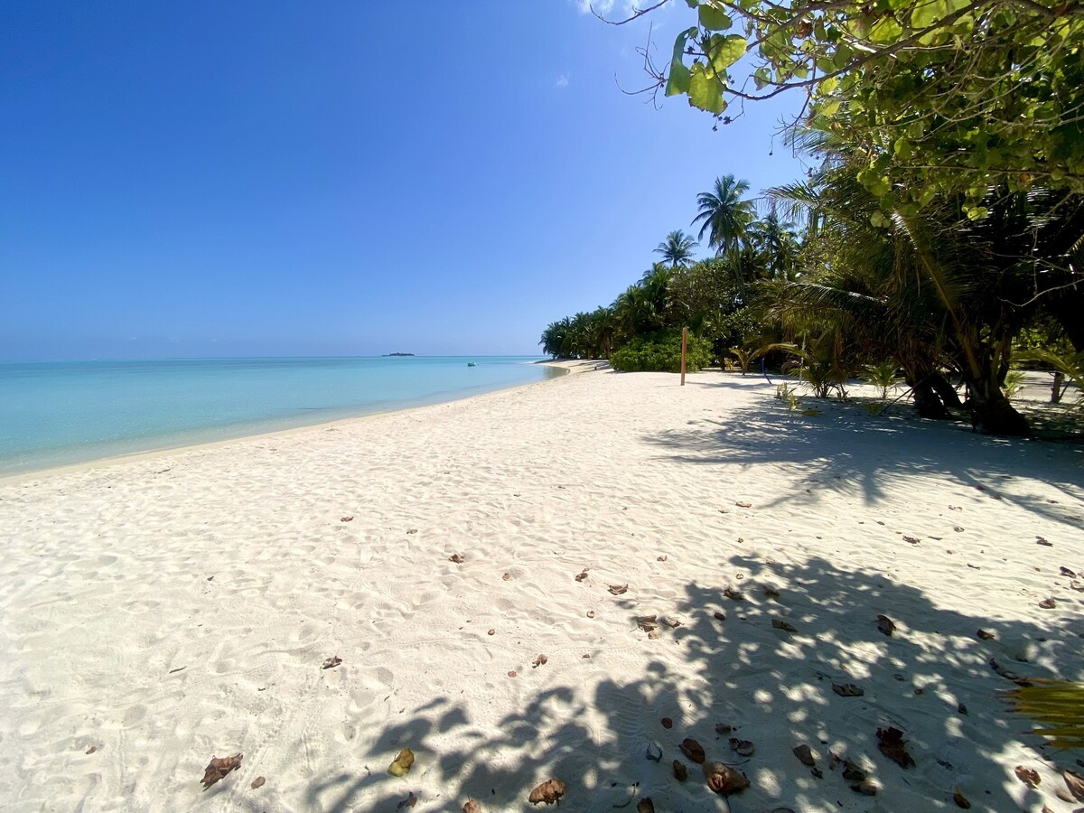 Image de profil de l’hôte