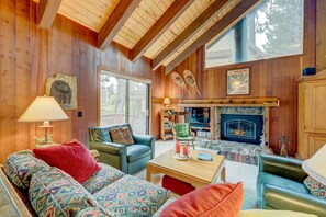 TV, fireplace, books