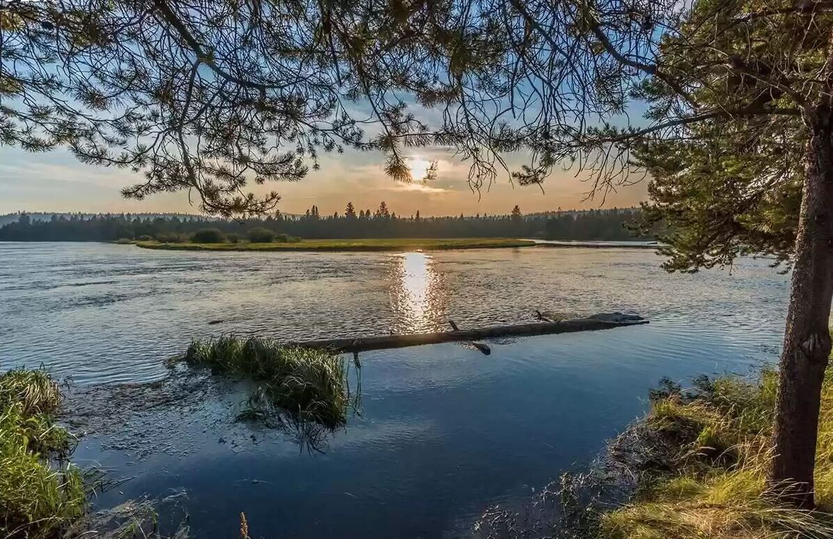 منوع