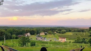Eine Hängematte in üppiger grüner Landschaft, im Hintergrund Häuser.