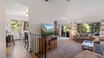 TV, fireplace, DVD player, books