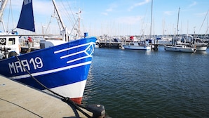 Marina - Holiday apartment "Rückenwind" - quiet vacation apartment for active days on the Schlei & Baltic Sea (Norderbrarup)