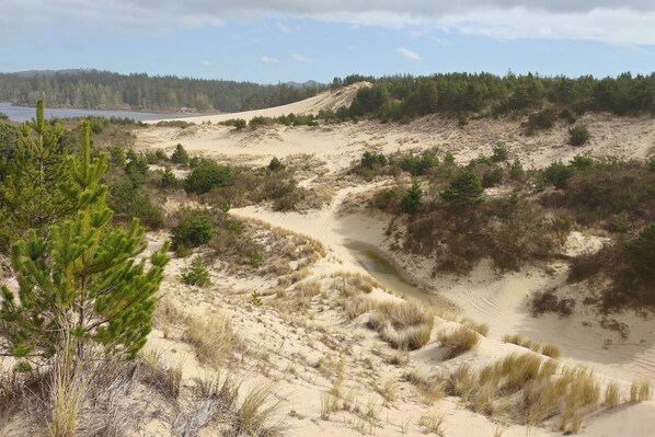 Paisaje costero con dunas de arena, vegetación escasa y un bosque distante.