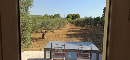 House T2 of 50m2, air-conditioned with terrace overlooking the olive trees