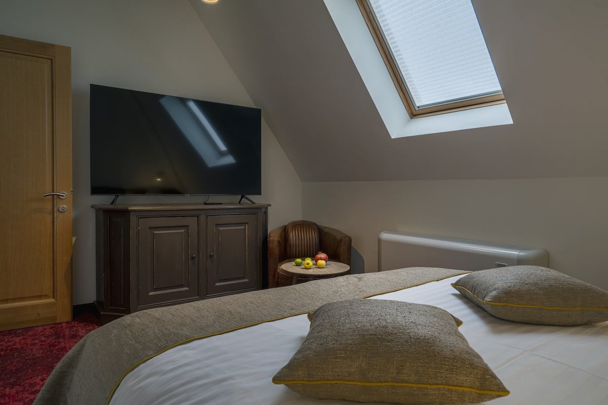 Une chambre avec un grand lit, un téléviseur à écran plat fixé au mur, une petite table ronde avec des fruits et une lucarne au plafond.